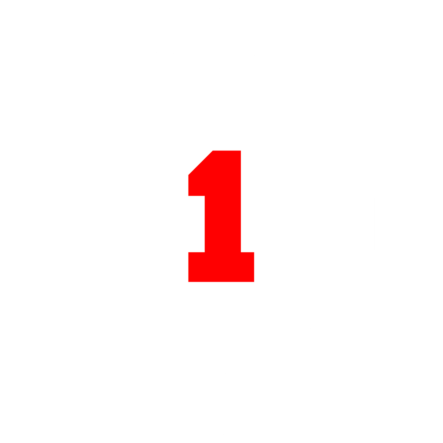 BEDFORD HILLS FIRE DEPARTMENT – ENGINE CO. – THE HILLS CLASSIC COLLECTION